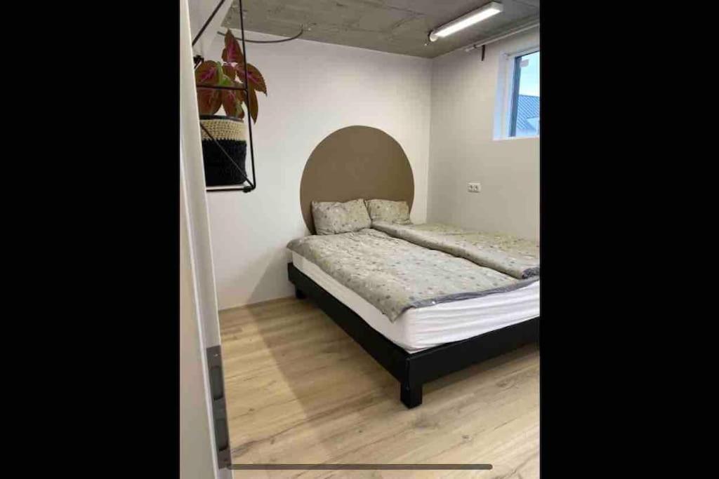 Modern Garage Suite - Free Parking & Self Check In Hveragerdi Exteriör bild